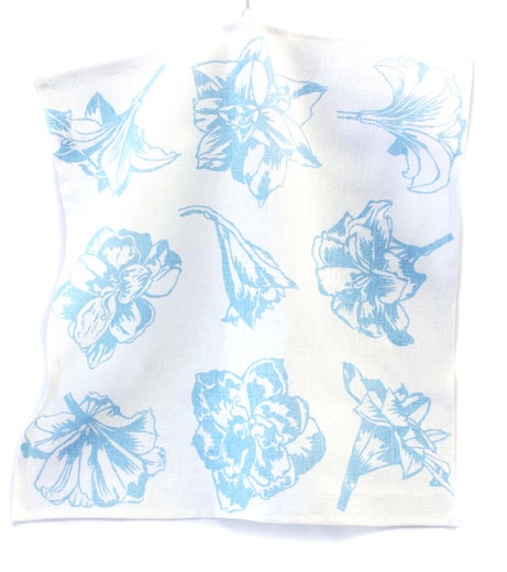 Amaryllis vaaleansininen